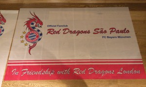 Red Dragons Chapters